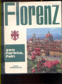 Florenz - monografija na nemackom