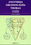 Anatomija grudnog koša: thorax