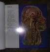 Atlas der Anatomie im Fernröntgenbild