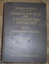 Lehrbuch und atlas der anatomie des menschen 