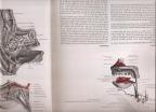 Anatomski atlas Oxford Medical 