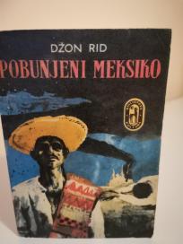 POBUNJENI MEKSIKO - roman