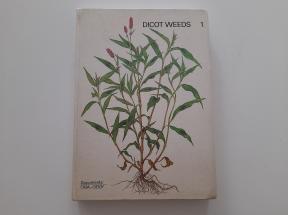 Dicot weeds 1 - Dikotiledoni korovi 13 porodica
