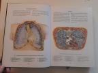 Atlas grudne hirurgije I - na ruskom i latinskom jeziku